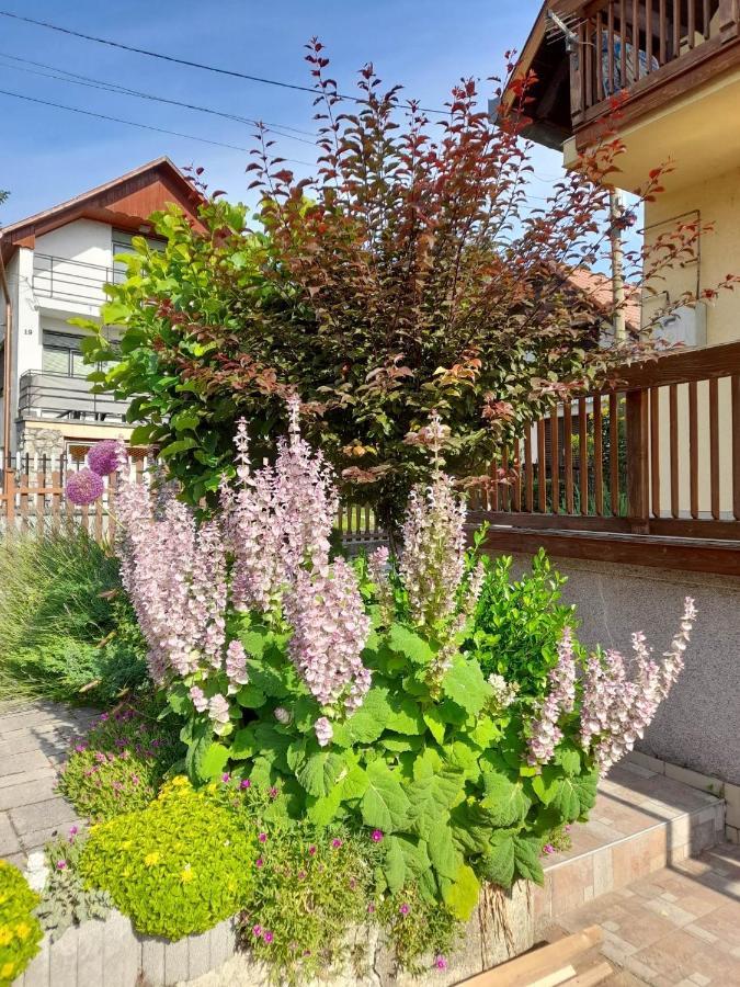 Harmonia Vendeghaz 100 Meterre Az Igali Gyogyfuerdotol Apartment Екстериор снимка