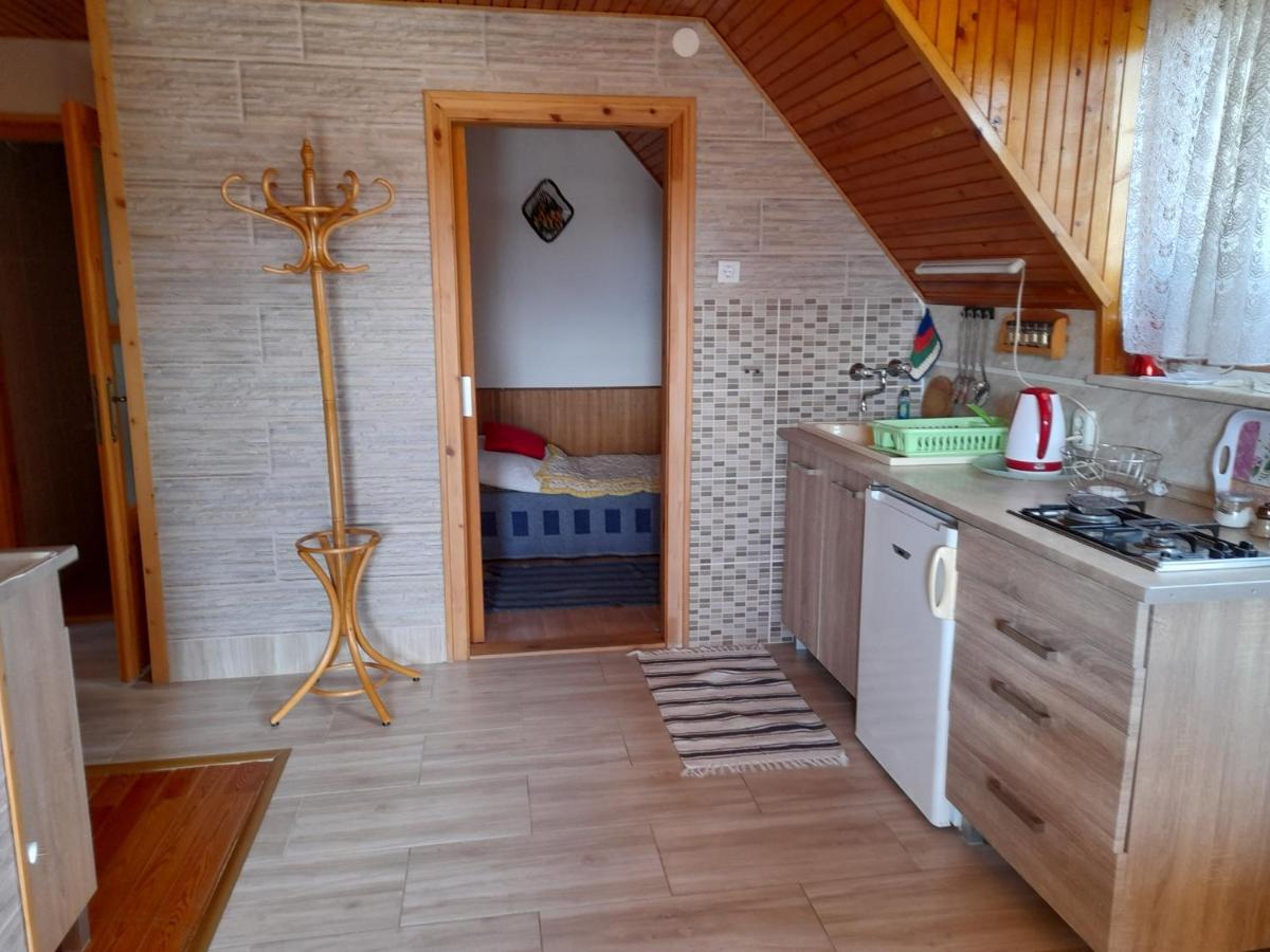 Harmonia Vendeghaz 100 Meterre Az Igali Gyogyfuerdotol Apartment Екстериор снимка