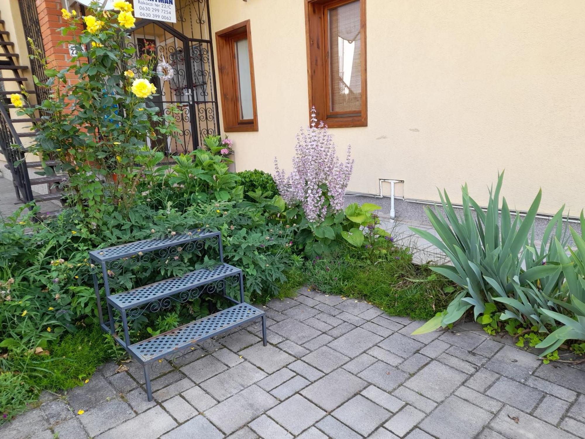 Harmonia Vendeghaz 100 Meterre Az Igali Gyogyfuerdotol Apartment Екстериор снимка