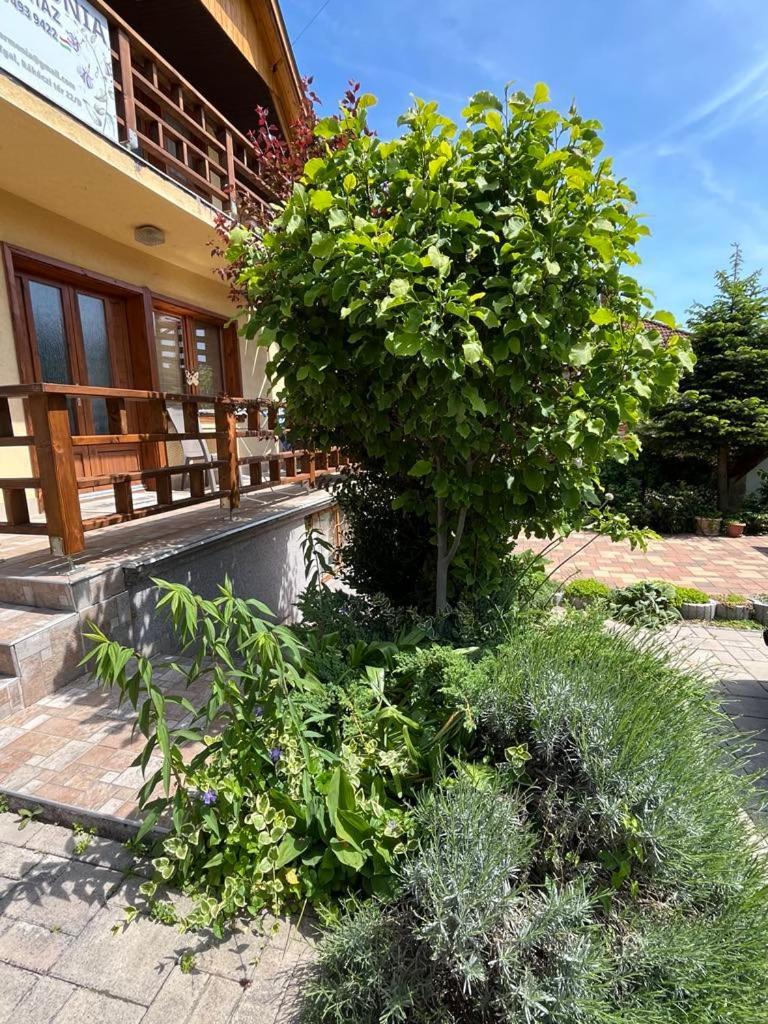 Harmonia Vendeghaz 100 Meterre Az Igali Gyogyfuerdotol Apartment Екстериор снимка